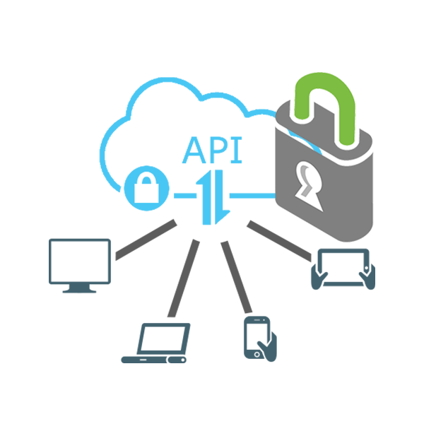 API Security Management