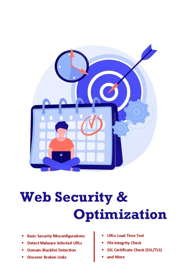 Web_Security_and_Optimization_Scanner